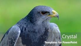  Presentation with amazing - Presentation with portrait-of-a-amazing-southamerican background and a ocean colored foreground