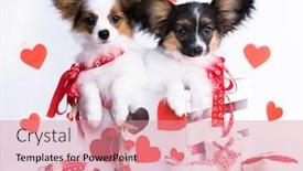  Presentation with baby toy - Beautiful slide set featuring portrait-of-a-continental-toy backdrop and a coral colored foreground