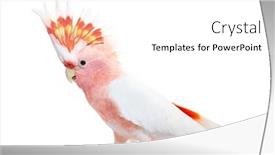  Presentation with spread - Theme having portrait-of-a-crest-spread background and a white colored foreground