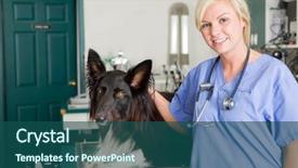  Presentation with surgery room - Audience pleasing PPT theme consisting of portrait of a dog backdrop and a ocean colored foreground