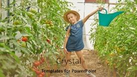  Presentation with greenhouse farm - Presentation having portrait-of-a-girl-child background and a coral colored foreground