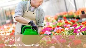  Presentation with greenhouse - Colorful presentation design enhanced with portrait-of-a-greenhouse-worker backdrop and a coral colored foreground