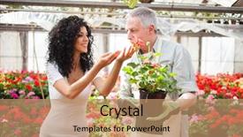  Presentation with greenhouse - PPT layouts enhanced with portrait of a greenhouse worker giving a plant to a customer background and a coral colored foreground