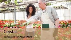  Presentation with greenhouse - Cool new PPT layouts with growers - portrait of a greenhouse worker backdrop and a coral colored foreground