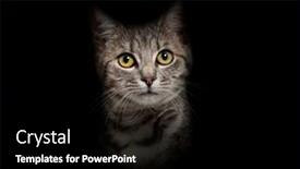  Presentation with grey - PPT layouts enhanced with portrait-of-a-grey-stripped background and a black colored foreground