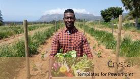  Presentation with organic farming - Amazing slide deck having portrait-of-a-happy-african backdrop and a coral colored foreground