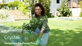  Presentation with portrait happy family smiling - Audience pleasing theme consisting of portrait-of-a-happy-african backdrop and a tawny brown colored foreground