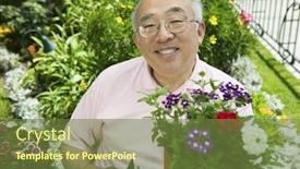  Presentation with gardening - Colorful PPT theme enhanced with portrait of a happy senior man gardening in his own garden backdrop and a tawny brown colored foreground
