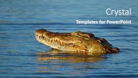  Presentation with kruger - Beautiful slide deck featuring portrait-of-a-large-nile backdrop and a teal colored foreground