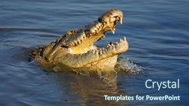  Presentation with crocodile - PPT layouts featuring portrait-of-a-large-nile background and a ocean colored foreground