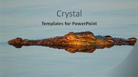  Presentation with water park - PPT layouts having portrait-of-a-large-nile background and a light gray colored foreground