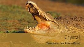  Presentation with south africa - Theme enhanced with portrait-of-a-large-nile background and a gold colored foreground