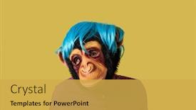  Presentation with blue yellow - Beautiful slides featuring portrait-of-a-man-wearing backdrop and a yellow colored foreground