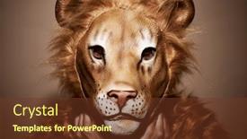  Presentation with processing - Slide set with portrait-of-a-man-wearing background and a tawny brown colored foreground