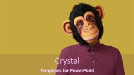  Presentation with monkey - Slide deck enhanced with portrait-of-a-man-wearing background and a tawny brown colored foreground