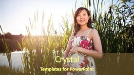  Presentation with pregnant woman - Colorful presentation enhanced with portrait of a pregnant asian backdrop and a tawny brown colored foreground