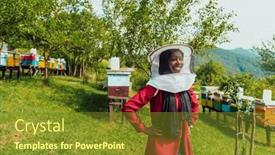  Presentation with businesses - 