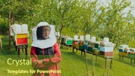  Presentation with businesses - Slide set enhanced with portrait-of-an-arab-investor background and a  colored foreground