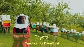  Presentation with businesses - Presentation with portrait-of-an-arab-investor background and a tawny brown colored foreground