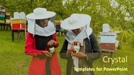  Presentation with businesses - Slides having portrait-of-an-arab-investors background and a  colored foreground