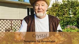  Presentation with agricultural - Cool new PPT theme with portrait-of-an-elderly-man backdrop and a gold colored foreground