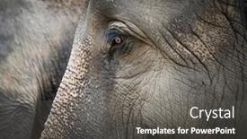  Presentation with nepal - Theme having portrait-of-asian-elephant background and a dark gray colored foreground
