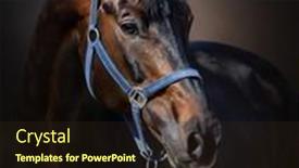  Presentation with dark blue - Slide deck with portrait-of-bay-orlov-rostopchin background and a wine colored foreground