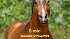  Presentation with stallion - PPT theme having young two men are entertaining themselves with virtual reality device they are sitting on couch and smiling there are beer and popcorn on table background and a ocean colored foreground