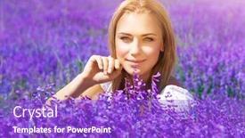  Presentation with gentle - Cool new slides with portrait of beautiful blond woman sitting on fresh lavender field enjoying gentle purple flowers with pleasure spending sunny day in countryside backdrop and a purple colored foreground