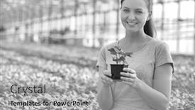  Presentation with nursery plant - Slide deck enhanced with portrait of beautiful female botanist holding seedling in plant nursery background and a light gray colored foreground