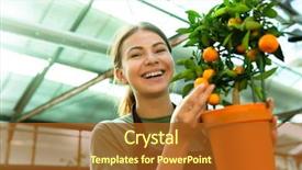  Presentation with working woman - Presentation theme featuring portrait of beautiful florist woman background and a tawny brown colored foreground