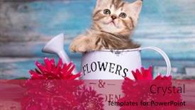  Presentation with baby animal carnival - Audience pleasing PPT layouts consisting of portrait-of-beautiful-fluffy-brovn backdrop and a crimson colored foreground