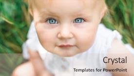  Presentation with baby chickens little cute chicks - Beautiful PPT theme featuring portrait of cute beautiful baby backdrop and a lemonade colored foreground