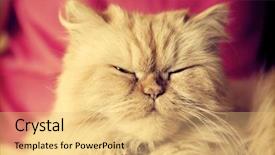  Presentation with persian - Audience pleasing slide deck consisting of magazine strategy - outcome word under torn black backdrop and a  colored foreground.