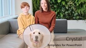  Presentation with doctor family - PPT theme having portrait-of-family-of-two background and a coral colored foreground