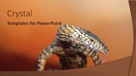  Presentation with route 66 mojave desert - Amazing PPT theme having portrait-of-goanna-in-desert backdrop and a coral colored foreground