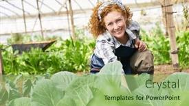  Presentation with cauliflower - Presentation theme consisting of portrait-of-happy-female-farmer background and a mint green colored foreground