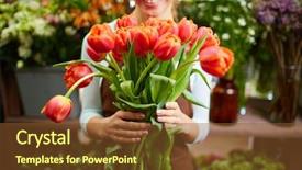  Presentation with portrait of excited overjoyed female - Colorful PPT theme enhanced with portrait of happy female florist backdrop and a tawny brown colored foreground