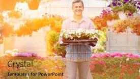  Presentation with flower pots - PPT layouts consisting of portrait of happy gardener carrying crate with flower pots in greenhouse background and a gold colored foreground