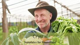  Presentation with farm - 