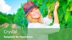  Presentation with plantation - Slides featuring portrait of happy smiling woman picking fresh tasty grape working on fruit plantation autumnal harvest season successfully farming concept background and a shamrock green colored foreground