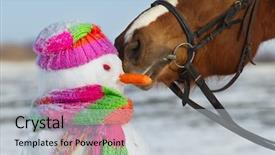  Presentation with snowman - Colorful PPT layouts enhanced with portrait of horse and snowman backdrop and a light gray colored foreground