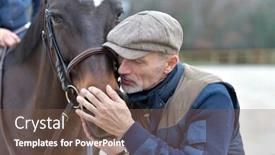  Presentation with horse - Amazing theme having portrait-of-horseman-standing backdrop and a violet colored foreground
