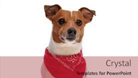  Presentation with russell - 