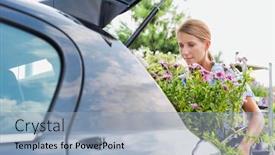  Presentation with flowers - PPT theme with portrait-of-mature-gardener-putting background and a light blue colored foreground