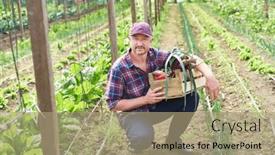  Presentation with greenhouse - Theme having portrait-of-mature-male-farmer background and a coral colored foreground