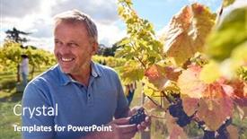  Presentation with vine wine - PPT theme enhanced with portrait-of-mature-male-worker background and a ocean colored foreground