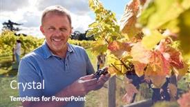  Presentation with vine wine - Theme consisting of portrait-of-mature-male-worker background and a ocean colored foreground
