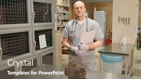  Presentation with vet - Amazing PPT layouts having portrait-of-mature-veterinarian backdrop and a violet colored foreground