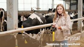  Presentation with livestock - Amazing slide deck having portrait-of-positive-middle-aged backdrop and a coral colored foreground